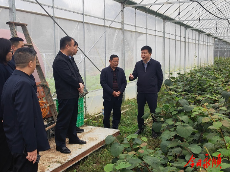 何锋到永顺县参加州人大代表小组主题活动