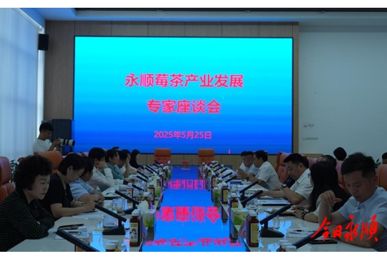永顺县召开莓茶产业发展专家座谈会 共绘产业高质量发展新蓝图