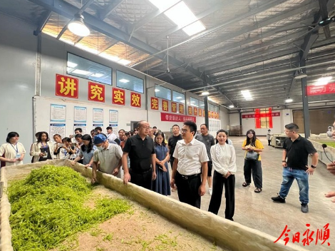 “莓茶守艺人·带货新达人”乡村振兴系列活动在西歧乡启动