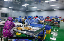 松柏镇域纯食品：探索“三方共赢”乡村产业新模式