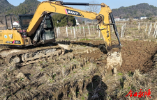 松柏镇：猕猴桃品改施工忙