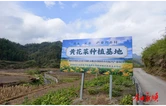 祁东县代表团来塔卧镇开展对口帮扶调研