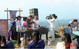 永顺凤头鸭亮相“莓”好永顺·山顶Live农文旅融合发展音乐会