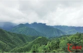 永不湮灭的星火——探寻“绝命后卫师”的血色终章
