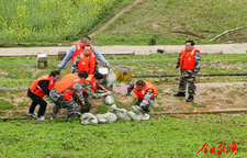 青坪镇：护林、避灾、抢险三场演练淬炼实战“真功夫”