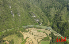 灵溪镇：家门口的春味