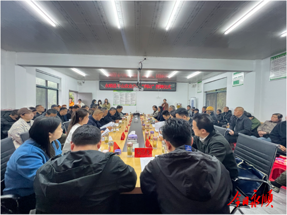 永顺县半山公司“两站”挂牌仪式暨莓茶产业科技培训活动在合亲村举行