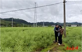 深耕粮食产量调查 夯实农业普查数据