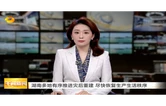 湖南多地有序推进灾后重建 尽快恢复生产生活秩序