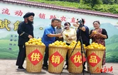 流动供销助农直播 党建赋能贡柚飘香