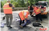 永顺县公路建设养护中心修补国道G209线坑氹消除隐患保安畅