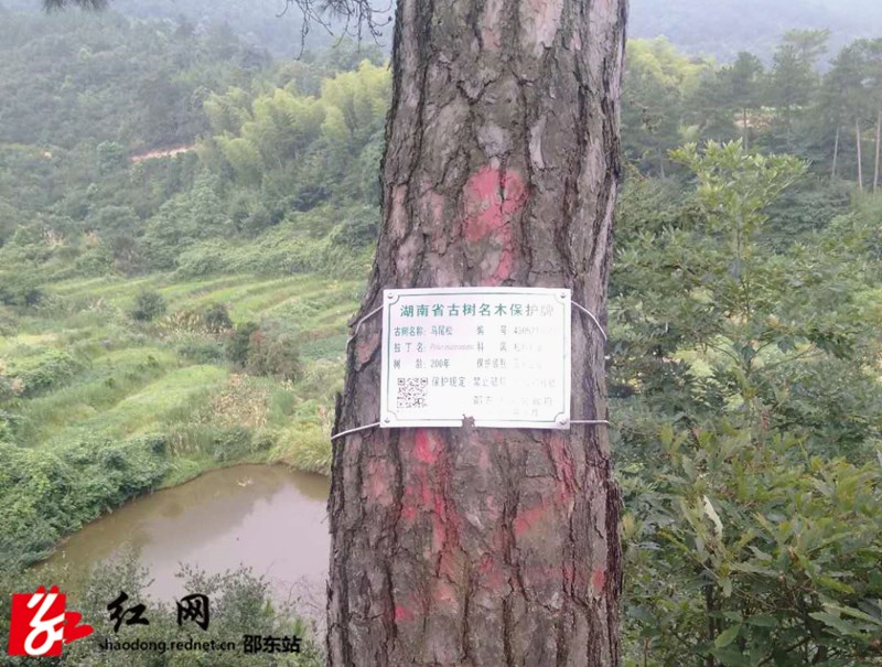 微信图片_20200728151501_副本.jpg