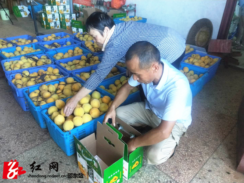 微信图片_20200803150000_副本.jpg