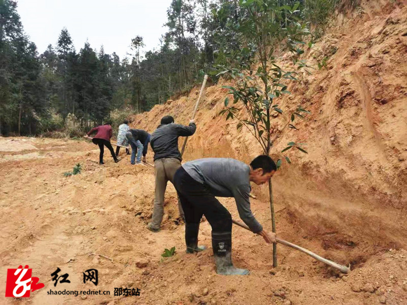 下载_副本.jpg