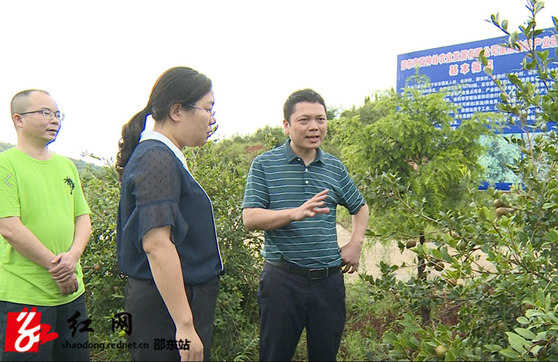 油茶基地_副本.jpg