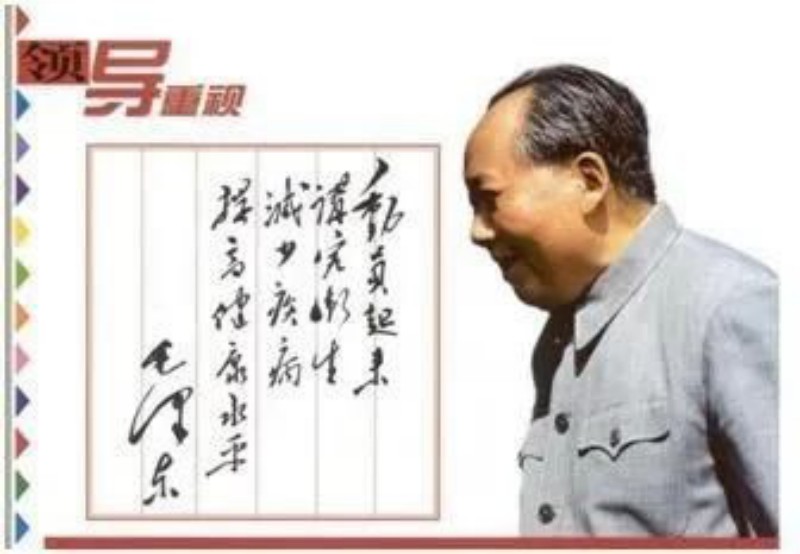 图片1_副本.jpg