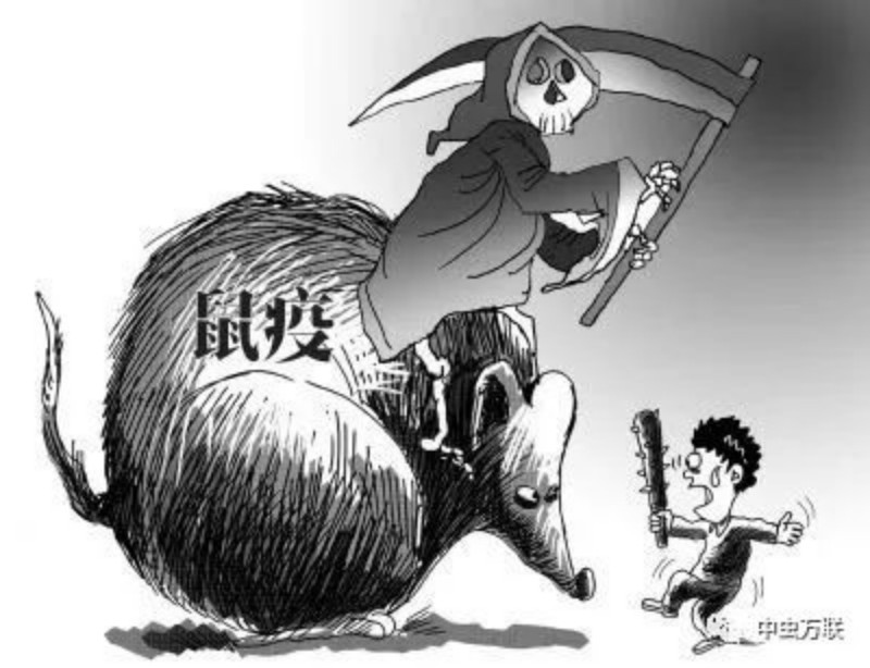 图片2_副本.jpg