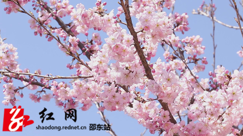 mmexport1646804547804_副本.jpg