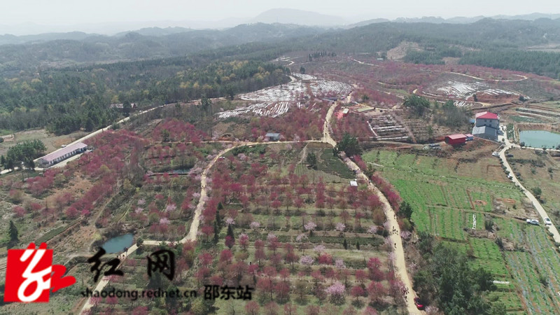 mmexport1646804558304_副本.jpg