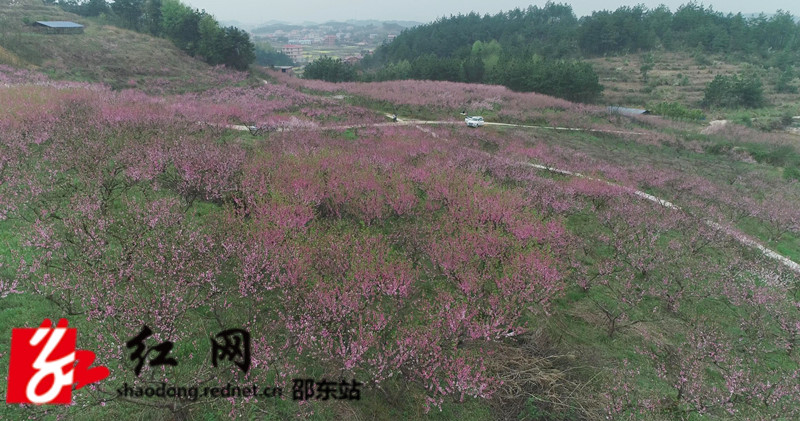 暴风截图2022316190182562_副本.jpg