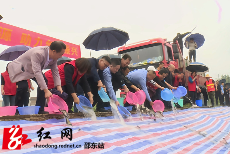 5393a9eb09c0454357a607afeabcd81_副本.jpg