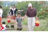 火厂坪镇丰裕村举办首届品桃节