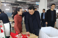 周玉凡到“三办”调研安全生产综合整治工作