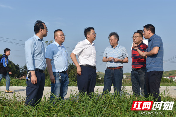 沈志定到流光岭镇调研黄花菜生产、防汛工作(图1)