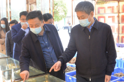严华在邵东市调研：努力当好邵阳高质量发展排头兵