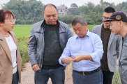 邵东市政协到魏家桥镇开展改善生态环境专项民主监督活动