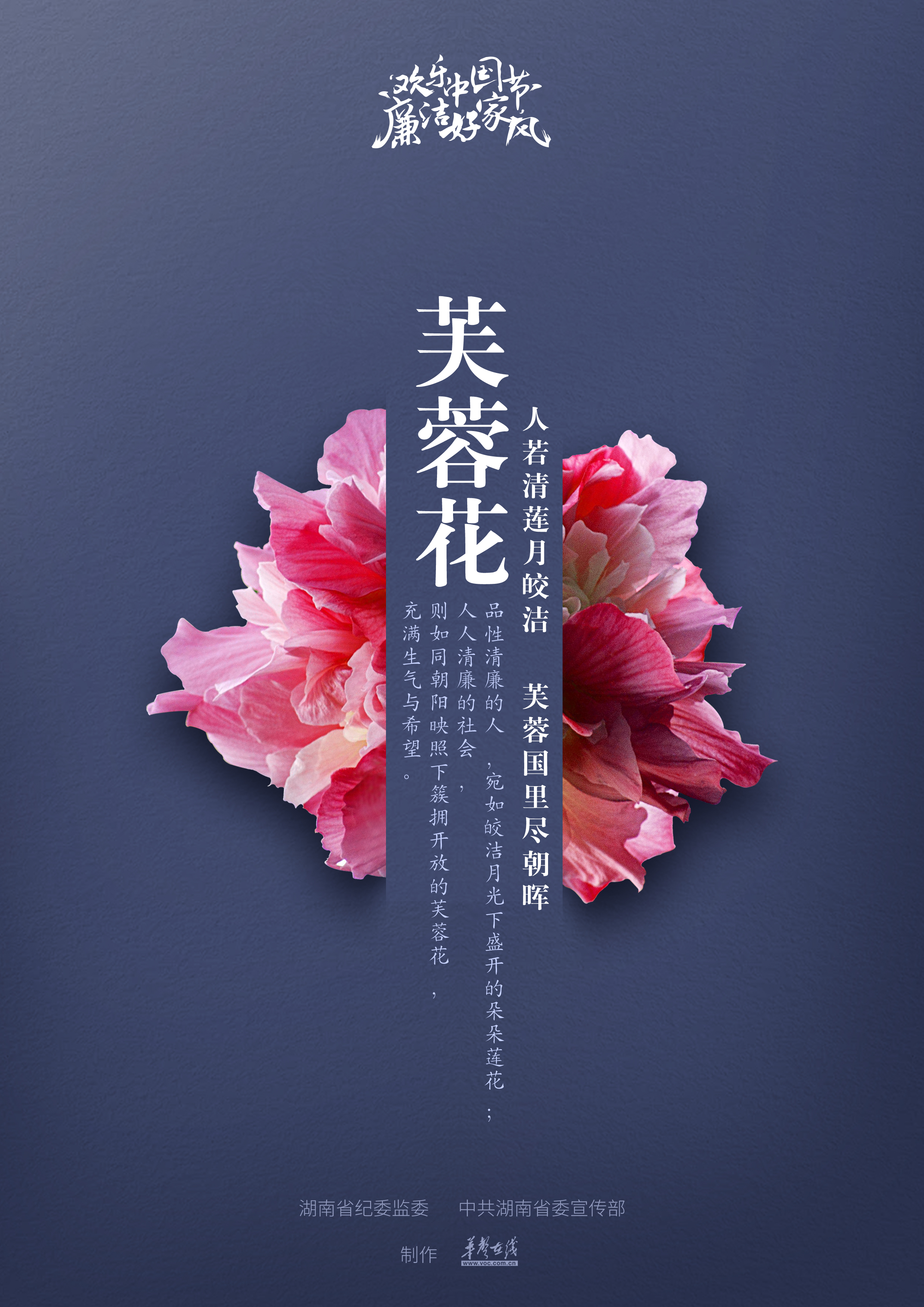 芙蓉花.jpg