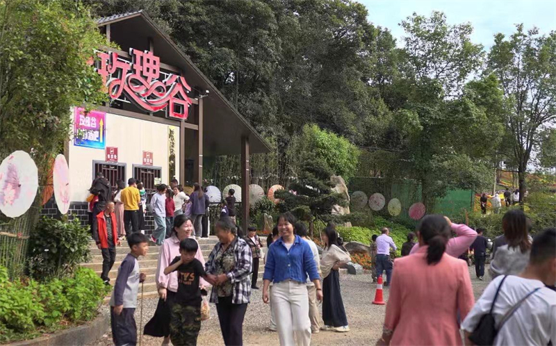 邵东：畅游百亩“花海” 欢度国庆假期(图3)