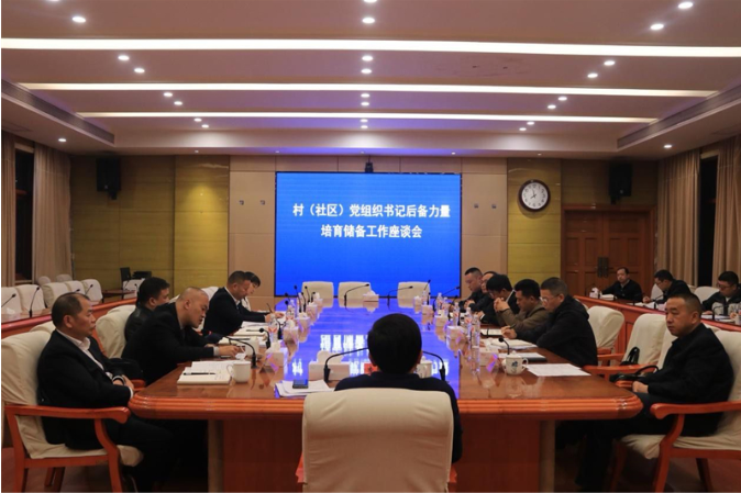邵东市基层党建重点工作暨村（社区）党组织书记后备力量培育储备工作座谈会召开