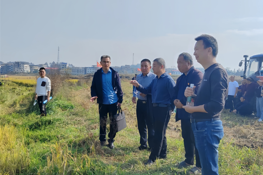 邵东政协：聚焦秸秆综合利用和焚烧管理 助力区域生态环境持续改善