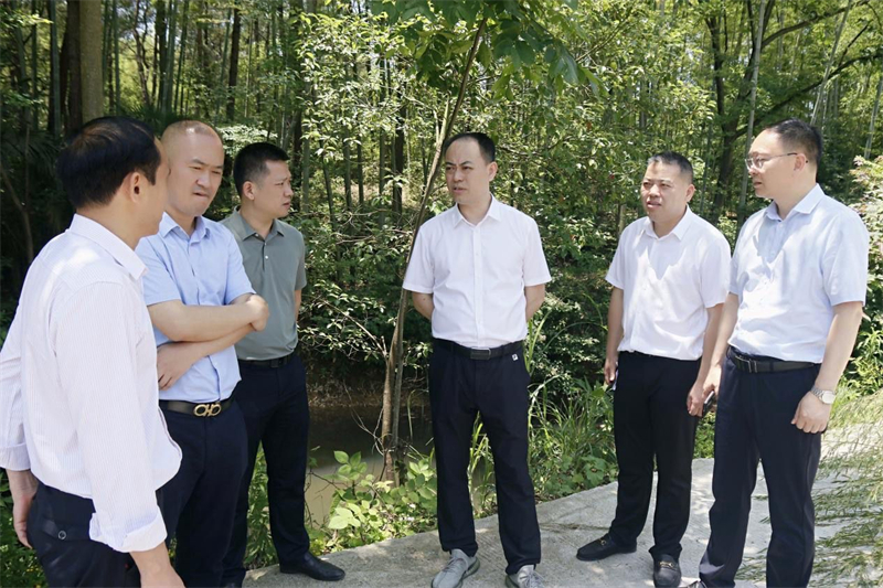 杨卫平到邵东督导生态环保问题整改、“三源共治”工作并开展巡河巡林工作(图3)