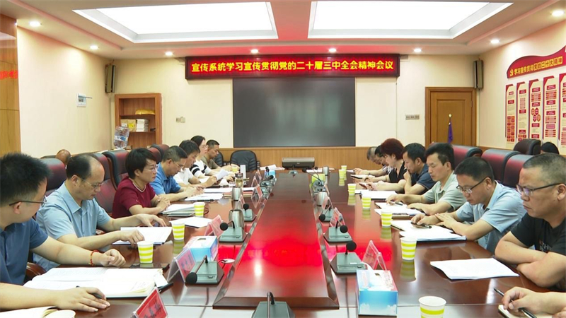 邵东市宣传系统召开学习宣传贯彻党的二十届三中全会精神会议