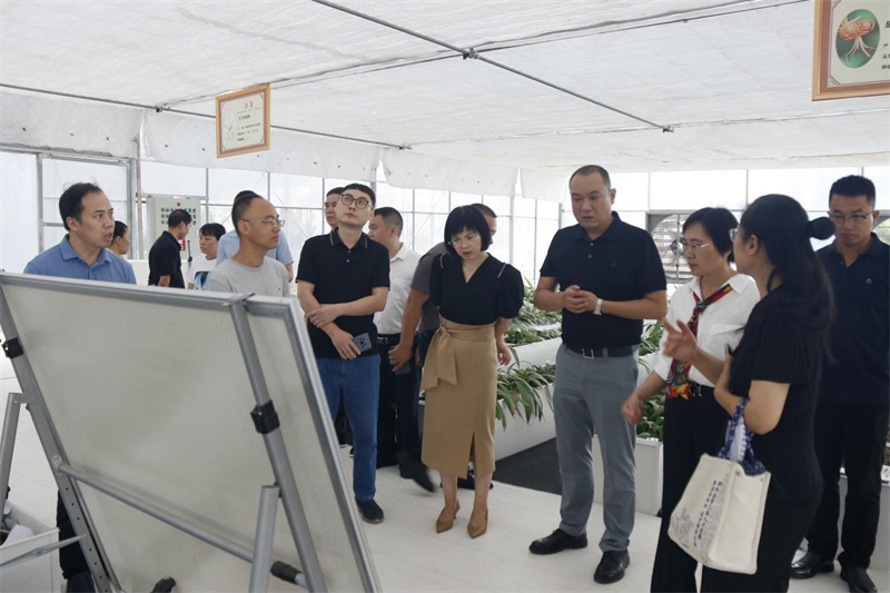 邵阳市“湘才乡连”专家服务乡村振兴活动在邵东启动(图2)