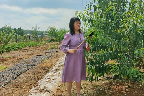 【爱我邵东 政协40年委员风采录】杨来源：让委员的模范引领在田间地头闪光