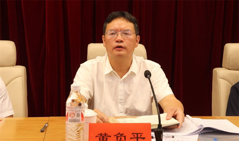 邵东市人大常委会召开法治政府建设专项监督工作会议(图2)
