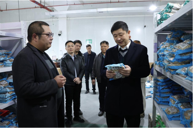 付凯军到斫曹乡、廉桥镇调研