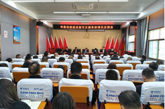 邵东市委第一巡察组、第三巡察组向卫健系统反馈巡察情况