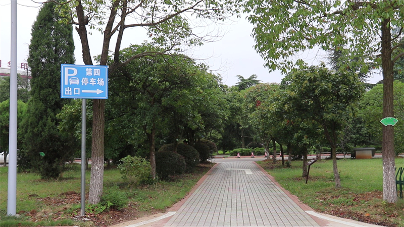 MVI_3306 - frame at 0m3s.jpg