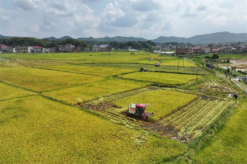 DJI_20250714104307_0006_D_看图王_副本.jpg DJI_20250714104307_0006_D_看图王_副本.jpg