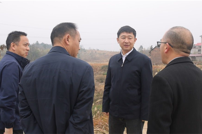 付凯军到流泽镇宣讲党的二十届四中全会精神并开展调研