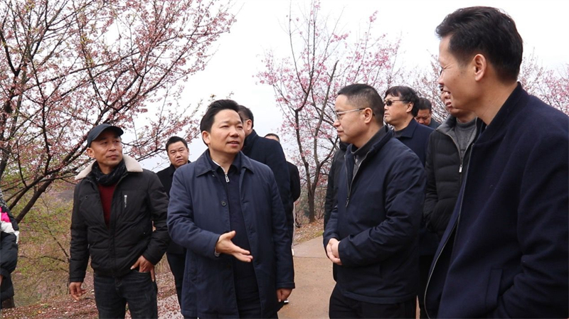 李国军调研农文旅融合发展工作(图2)