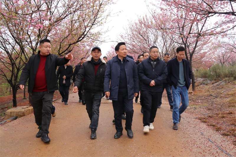 李国军调研农文旅融合发展工作(图1)
