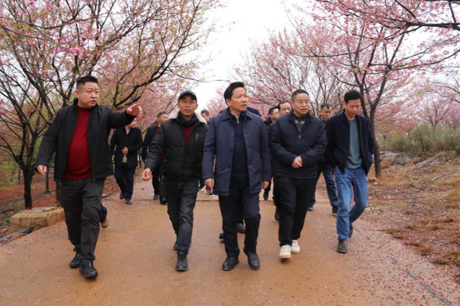 李国军调研农文旅融合发展工作