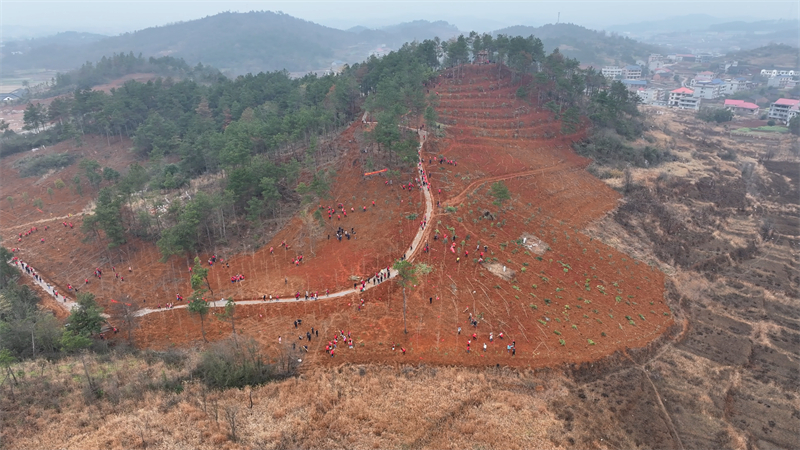 李国军带头参加义务植树活动 共筑绿色邵东(图1)