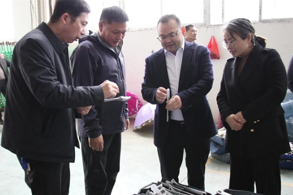 陈业华到仙槎桥镇开展“三送三解三优”行动