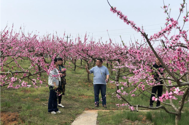 邵东市政协委员助力乡村旅游发展
